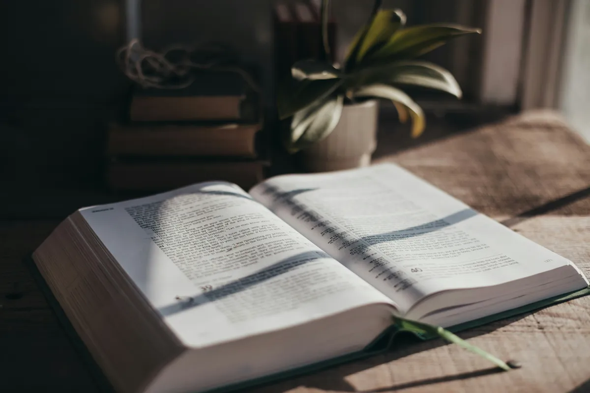 An open Bible beside a green plant