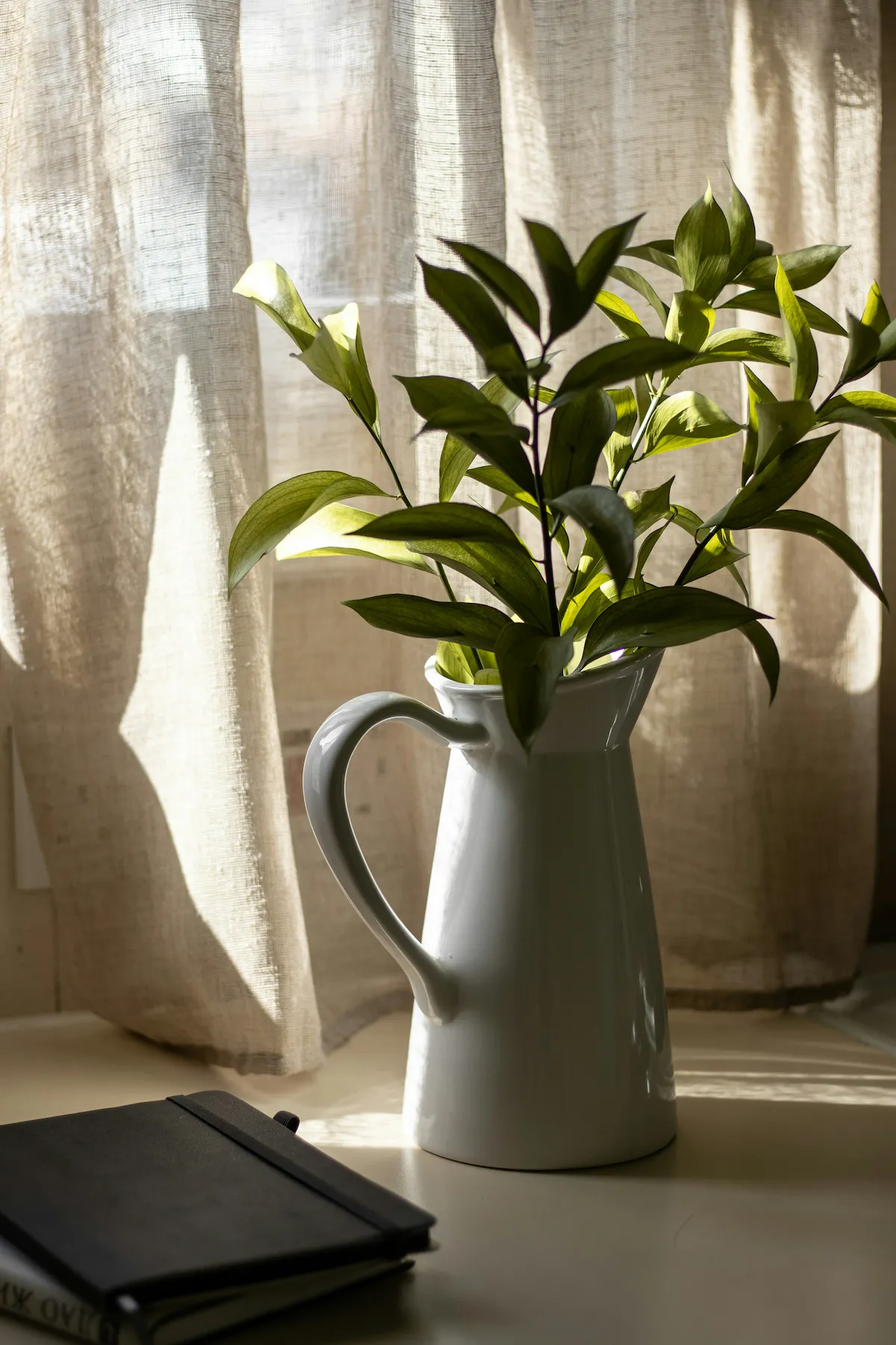 A pitcher on a table by a window with soft curtains